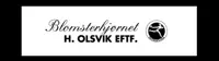 Namsos - Blomsterhjørnet H. Olsvik   - Logo